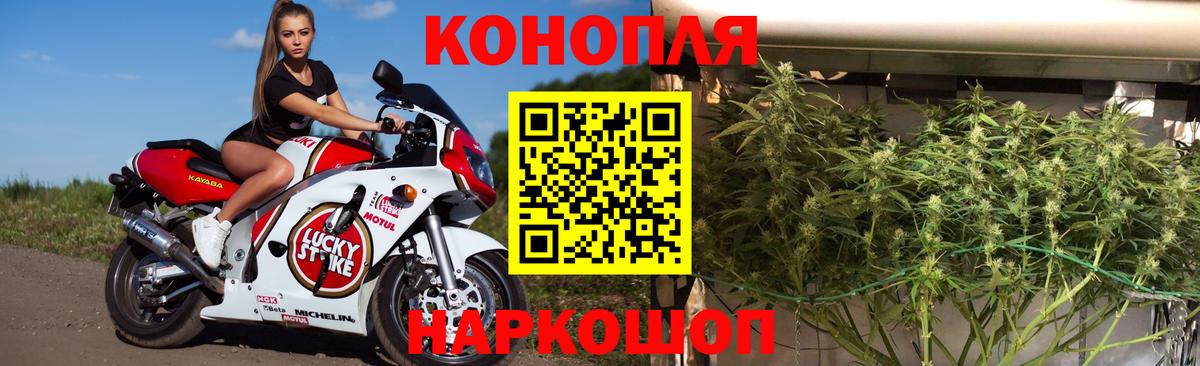 Бошки Шишки конопля  Марихуана Ganja  Гурьевск  Канабис ГИДРОПОН  Вход с VPN 